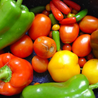 Colorful_Photo_of_Vegetables
